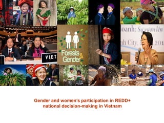 Gender and women’s participation in REDD+ national decision-making in Vietnam