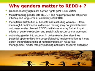 Gender and women’s participation in REDD+ national decision-making in Vietnam