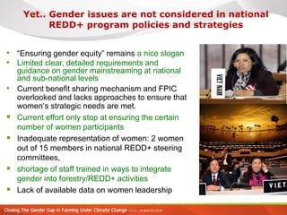 Gender and women’s participation in REDD+ national decision-making in Vietnam