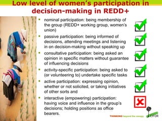Gender and women’s participation in REDD+ national decision-making in Vietnam