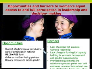 Gender and women’s participation in REDD+ national decision-making in Vietnam