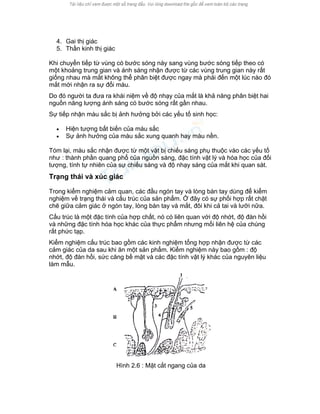 4. Gai thị giác 
5. Thần kinh thị giác 
Khi chuyển tiếp từ vùng có bước sóng này sang vùng bước sóng tiếp theo có một khoảng trung gian và ánh sáng nhận được từ các vùng trung gian này rất giống nhau mà mắt không thể phân biệt được ngay mà phải đến một lúc nào đó mắt mới nhận ra sự đổi màu. 
Do đó người ta đưa ra khái niệm về độ nhạy của mắt là khả năng phân biệt hai nguồn năng lượng ánh sáng có bước sóng rất gần nhau. 
Sự tiếp nhận màu sắc bị ảnh hưởng bởi các yếu tố sinh học: 
• Hiện tượng bất biến của màu sắc 
• Sự ảnh hưởng của màu sắc xung quanh hay màu nền. 
Tóm lại, màu sắc nhận được từ một vật bị chiếu sáng phụ thuộc vào các yếu tố như : thành phần quang phổ của nguồn sáng, đặc tính vật lý và hóa học của đối tượng, tính tự nhiên của sự chiếu sáng và độ nhạy sáng của mắt khi quan sát. 
Trạng thái và xúc giác 
Trong kiểm nghiệm cảm quan, các đầu ngón tay và lòng bàn tay dùng để kiểm nghiệm về trạng thái và cấu trúc của sản phẩm. Ở đây có sự phối hợp rất chặt chẽ giữa cảm giác ở ngón tay, lòng bàn tay và mắt, đôi khi cả tai và lưỡi nữa. 
Cấu trúc là một đặc tính của hợp chất, nó có liên quan với độ nhớt, độ đàn hồi và những đặc tính hóa học khác của thực phẩm nhưng mối liên hệ của chúng rất phức tạp. 
Kiểm nghiệm cấu trúc bao gồm các kinh nghiệm tổng hợp nhận được từ các cảm giác của da sau khi ăn một sản phẩm. Kiểm nghiệm này bao gồm : độ nhớt, độ đàn hồi, sức căng bề mặt và các đặc tính vật lý khác của nguyên liệu làm mẫu. 
Hình 2.6 : Mặt cắt ngang của da  