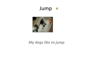 Jump

My dogs like to jump

 