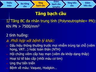 Tăng bạch cầu
1/ Tăng BC đa nhân trung tính (Polyneutrophile= PN):
Khi PN > 7500/mm3
2 tình huống:
a. Phối hợp với bệnh lý khác:
 Dấu hiệu thông thường trước mọi nhiễm trùng tại chỗ (viêm
họng, VRT…) hoặc toàn thân (NTH)
 Hội chứng viêm cấp hay mạn (viêm đa khớp dạng thấp)
 Hoại tử tế bào cấp (nhồi máu cơ tim)
 Ung thư tiến triển
 Bệnh về máu: Vaquez, Hodgkin…
Thiếu
máu
Đa hồng
cầu
Tăng
bạch cầu
Giảm
bạch cầu
lympho
Tăng tiểu
cầu
Giảm
tiểu cầu
 