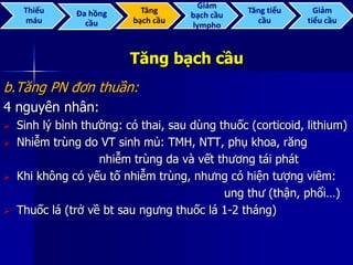 Tăng bạch cầu
b.Tăng PN đơn thuần:
4 nguyên nhân:
 Sinh lý bình thường: có thai, sau dùng thuốc (corticoid, lithium)
 Nhiễm trùng do VT sinh mủ: TMH, NTT, phụ khoa, răng
nhiễm trùng da và vết thương tái phát
 Khi không có yếu tố nhiễm trùng, nhưng có hiện tượng viêm:
ung thư (thận, phổi…)
 Thuốc lá (trở về bt sau ngưng thuốc lá 1-2 tháng)
Thiếu
máu
Đa hồng
cầu
Tăng
bạch cầu
Giảm
bạch cầu
lympho
Tăng tiểu
cầu
Giảm
tiểu cầu
 