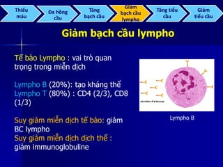 Giảm bạch cầu lympho
Tế bào Lympho : vai trò quan
trọng trong miễn dịch
Lympho B (20%): tạo kháng thể
Lympho T (80%) : CD4 (2/3), CD8
(1/3)
Suy giảm miễn dịch tế bào: giảm
BC lympho
Suy giảm miễn dịch dịch thể :
giảm immunoglobuline
Lympho B
Thiếu
máu
Đa hồng
cầu
Tăng
bạch cầu
Giảm
bạch cầu
lympho
Tăng tiểu
cầu
Giảm
tiểu cầu
 