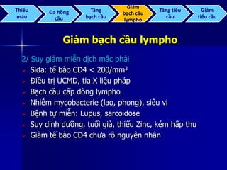 Giảm bạch cầu lympho
2/ Suy giảm miễn dịch mắc phải
 Sida: tế bào CD4 < 200/mm3
 Điều trị UCMD, tia X liệu pháp
 Bạch cầu cấp dòng lympho
 Nhiễm mycobacterie (lao, phong), siêu vi
 Bệnh tự miễn: Lupus, sarcoidose
 Suy dinh dưỡng, tuổi già, thiếu Zinc, kém hấp thu
 Giảm tế bào CD4 chưa rõ nguyên nhân
Thiếu
máu
Đa hồng
cầu
Tăng
bạch cầu
Giảm
bạch cầu
lympho
Tăng tiểu
cầu
Giảm
tiểu cầu
 