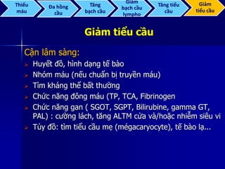Giảm tiểu cầu
Cận lâm sàng:
 Huyết đồ, hình dạng tế bào
 Nhóm máu (nếu chuẩn bị truyền máu)
 Tìm kháng thể bất thường
 Chức năng đông máu (TP, TCA, Fibrinogen
 Chức năng gan ( SGOT, SGPT, Bilirubine, gamma GT,
PAL) : cường lách, tăng ALTM cửa và/hoặc nhiễm siêu vi
 Tủy đồ: tìm tiểu cầu mẹ (mégacaryocyte), tế bào lạ...
Thiếu
máu
Đa hồng
cầu
Tăng
bạch cầu
Giảm
bạch cầu
lympho
Tăng tiểu
cầu
Giảm
tiểu cầu
 