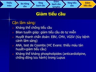 Giảm tiểu cầu
Cận lâm sàng:
 Kháng thể chống tiểu cầu
 Bilan tuyến giáp: giảm tiểu cầu do tự miễn
 Huyết thanh chẩn đoán: EBV, CMV, VGSV (tùy bệnh
cảnh lâm sàng)
 ANA, test de Coombs (HC Evans: thiếu máu tán
huyết+giảm tiểu cầu)
 Kháng thể kháng phospholipides (anticardiolipine,
chống đông lưu hành) trong Lupus
Thiếu
máu
Đa hồng
cầu
Tăng
bạch cầu
Giảm
bạch cầu
lympho
Tăng tiểu
cầu
Giảm
tiểu cầu
 