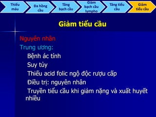 Giảm tiểu cầu
Nguyên nhân
Trung ương:
Bệnh ác tính
Suy tủy
Thiếu acid folic ngộ độc rượu cấp
Điều trị: nguyên nhân
Truyền tiểu cầu khi giảm nặng và xuất huyết
nhiều
Thiếu
máu
Đa hồng
cầu
Tăng
bạch cầu
Giảm
bạch cầu
lympho
Tăng tiểu
cầu
Giảm
tiểu cầu
 