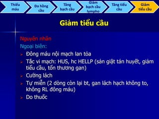 Giảm tiểu cầu
Nguyên nhân
Ngoại biên:
 Đông máu nội mạch lan tỏa
 Tắc vi mạch: HUS, hc HELLP (sản giật tán huyết, giảm
tiểu cầu, tổn thương gan)
 Cường lách
 Tự miễn (2 dòng còn lại bt, gan lách hạch không to,
không RL đông máu)
 Do thuốc
Thiếu
máu
Đa hồng
cầu
Tăng
bạch cầu
Giảm
bạch cầu
lympho
Tăng tiểu
cầu
Giảm
tiểu cầu
 