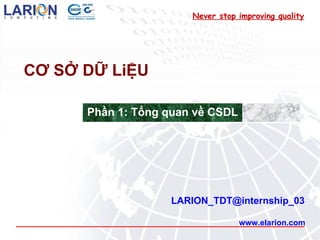 www.elarion.com CƠ SỞ DỮ LiỆU [email_address] Never stop improving quality Phần 1: Tổng quan về CSDL 