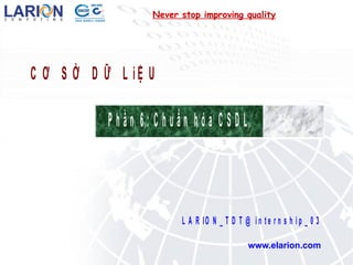 Never stop improving quality www.elarion.com 