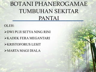 BOTANI PHANEROGAMAE
TUMBUHAN SEKITAR
PANTAI
OLEH:
DWI PUJI SETYA NING RINI
KADEK FERA MEGANTARI
KRISTOFORUS LESIT
MARTA MAGI DIALA
 