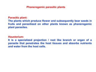 Parasitic plant:
The plants which produce flower and subsequently bear seeds in
fruits and parasitized on other plants known as phanerogamic
plant parasites.
Haustorium:
It is a specialized projection / root like branch or organ of a
parasite that penetrates the host tissues and absorbs nutrients
and water from the host cells.
Phanerogamic parasitic plants
 