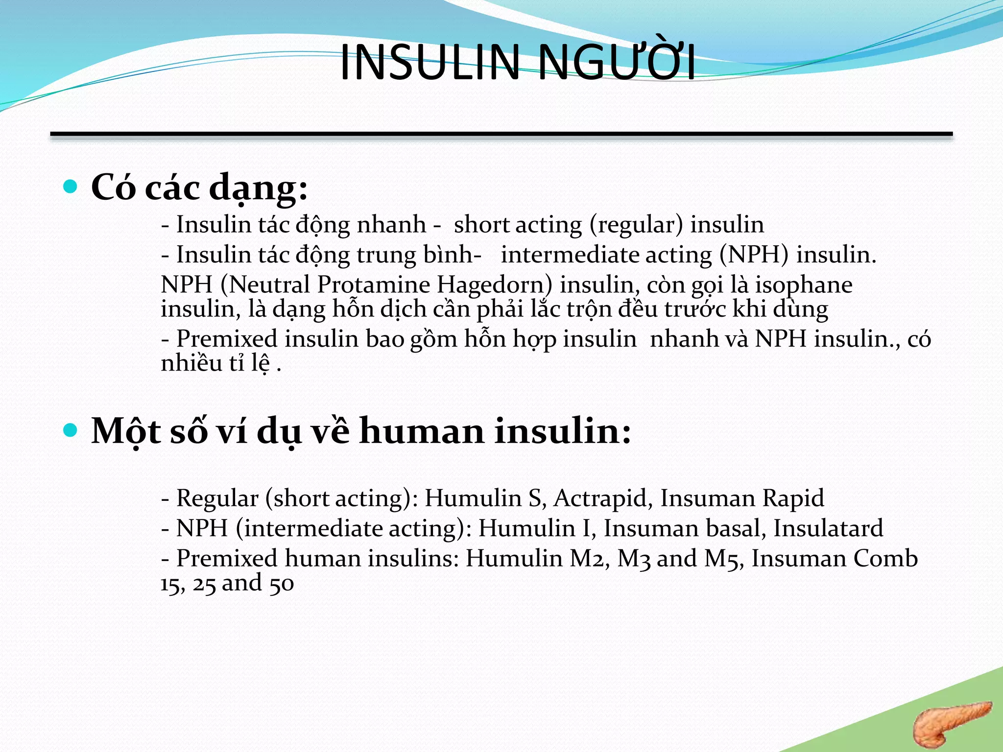 Regular Insu Phan loai insulin | PPTX