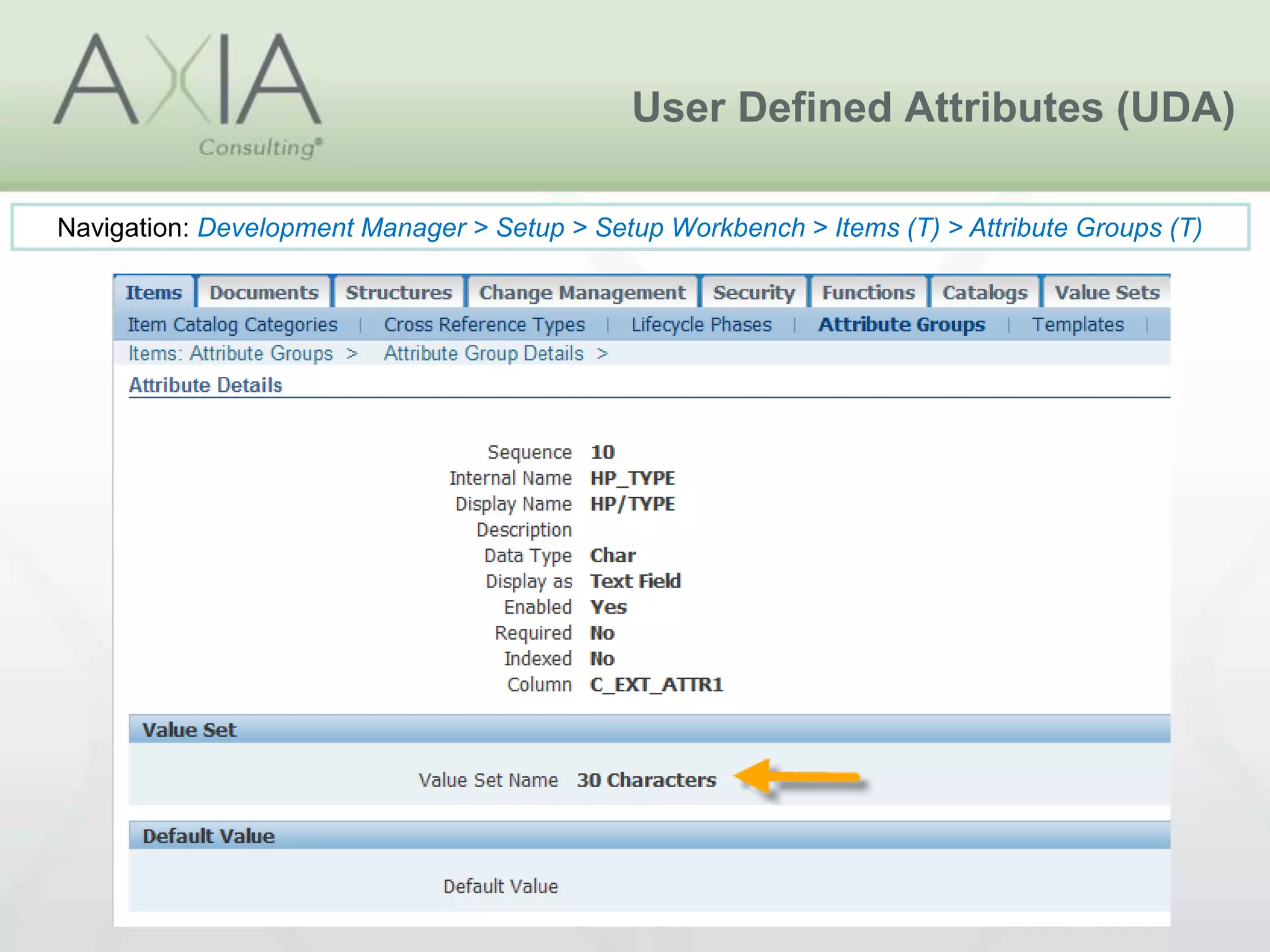User Defined Attributes (UDA)
Navigation: Development Manager > Setup > Setup Workbench > Items (T) > Attribute Groups (T)
 