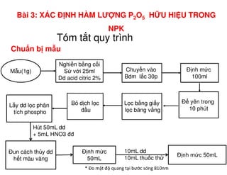 Tóm t t quy trình
M u(1g)
Nghi n b ng c i
S v i 25ml
Dd acid citric 2%
Chuy n vào
Bdm l c 30p
Đ nh m c
100ml
Chu n b m u
Bài 3: XÁC Đ NH HÀM LƯ NG P2O5 H U HI U TRONG
NPK
Đ yên trong
10 phút
L c b ng gi y
l c băng v ng
B d ch l c
đ u
L y dd l c phân
tích phospho
Đun cách th y dd
h t màu vàng
Hút 50mL dd
+ 5mL HNO3 đđ
Đ nh m c
50mL
Đ nh m c 50mL
10mL dd
10mL thu c th
* Đo mật độ quang tại bước sóng 810nm
 