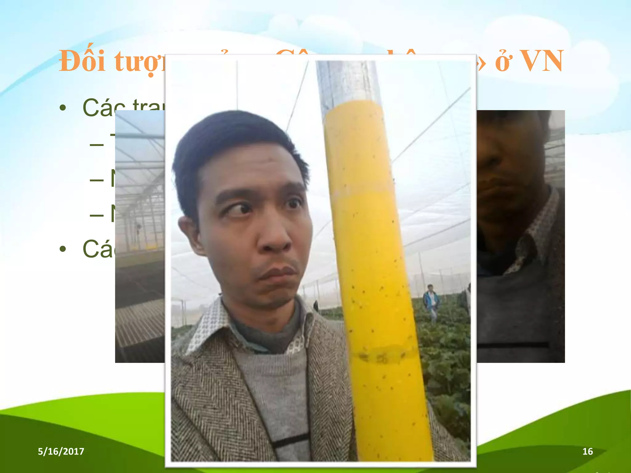 Đối tượng của «Công nghệ cao» ở VN
• Các trang trại đầu tư lớn
– Tưới tự động 10 – 50 tr. đ/ha
– Nhà lưới Israel 20 tỷ đ/ha
– Nhà lưới VinEco VN 5 tỷ đ/ha
• Các hộ gia đình đô thị
5/16/2017 Hội thảo Nông nghiệp thông minh 16
 