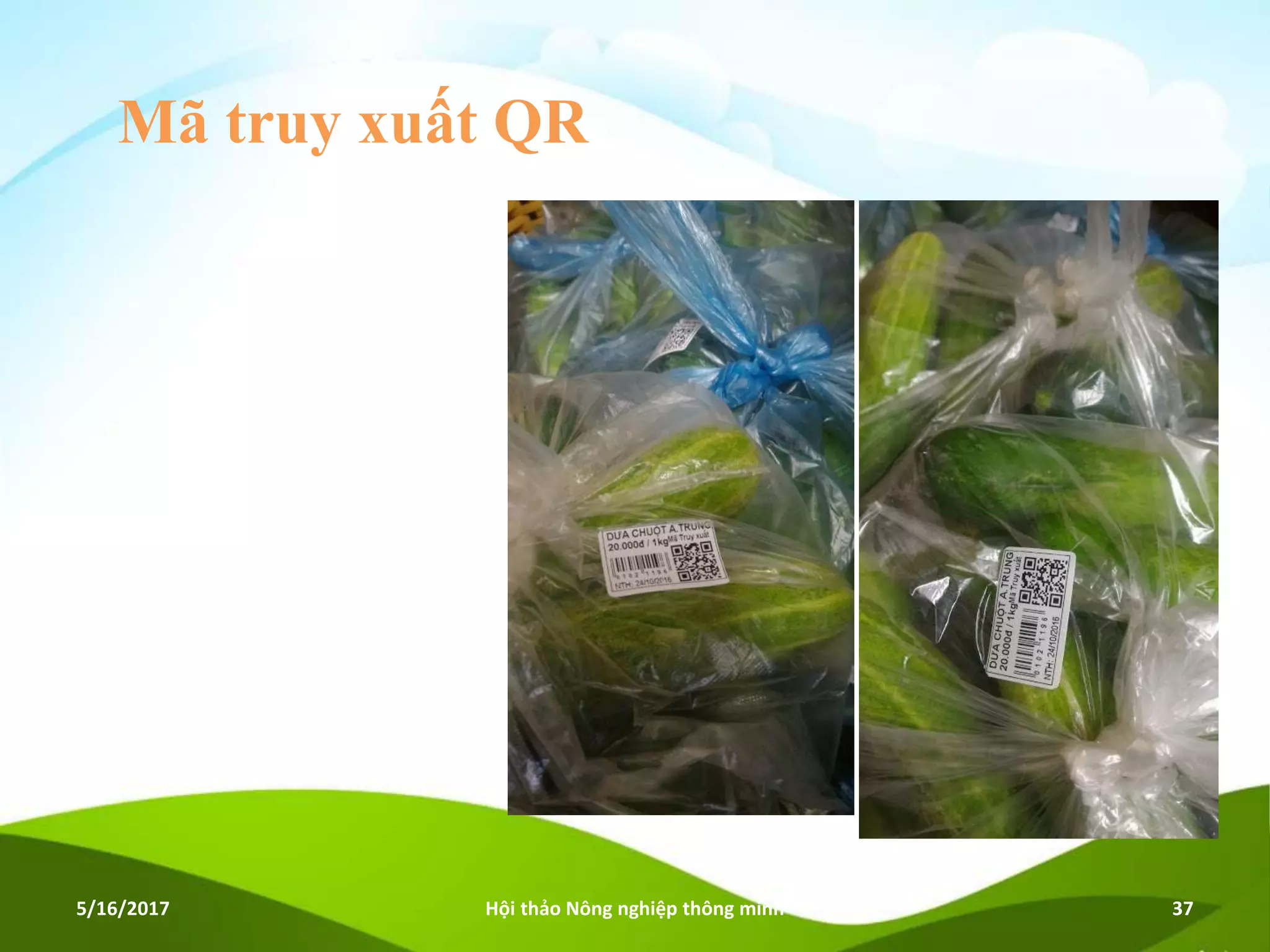 Mã truy xuất QR
5/16/2017 Hội thảo Nông nghiệp thông minh 37
 