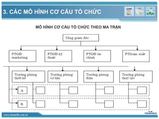 Phân tích cơ cấu của Vinamilk
