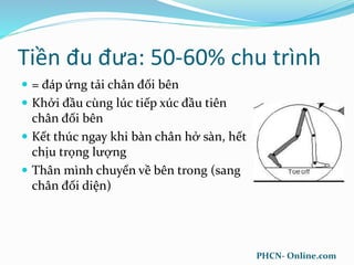 Tiền đu đưa: 50-60% chu trình
 = đáp ứng tải chân đối bên
 Khởi đầu cùng lúc tiếp xúc đầu tiên
chân đối bên
 Kết thúc ngay khi bàn chân hở sàn, hết
chịu trọng lượng
 Thân mình chuyển về bên trong (sang
chân đối diện)
PHCN- Online.com
 