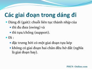 Các giai đoạn trong dáng đi
 Dáng đi (gait): chuỗi liên tục thành nhịp của
 thì đu đưa (swing) và
 thì tựa/chống (support).
 Đi :
 đặc trưng bởi có một giai đoạn tựa kép
 không có giai đoạn hai chân đều hở đất (nghĩa
là giai đoạn bay).
PHCN- Online.com
 