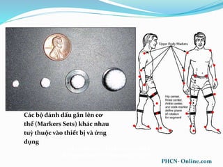 Gait Analysis: Techniques and
Recognition of Abnormal Gait
April 30, 2007
Các bộ đánh dấu gắn lên cơ
thể (Markers Sets) khác nhau
tuỳ thuộc vào thiết bị và ứng
dụng
PHCN- Online.com
 