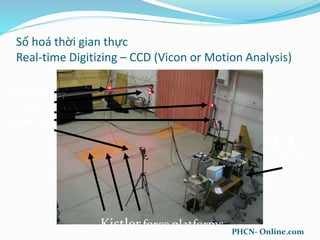 Số hoá thời gian thực
Real-time Digitizing – CCD (Vicon or Motion Analysis)
Infrared
video
cameras
Kistlerforce platforms
MAC
system
PHCN- Online.com
 