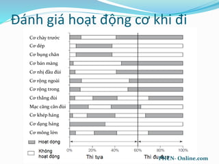 Đánh giá hoạt động cơ khi đi
Cơ chày trước
Cơ dép
Cơ bụng chân
Cơ bán màng
Cơ nhị đầu đùi
Cơ rộng ngoài
Cơ rộng trong
Cơ thẳng đùi
Mạc căng cân đùi
Cơ khép háng
Cơ dạng háng
Cơ mông lớn
PHCN- Online.com
 