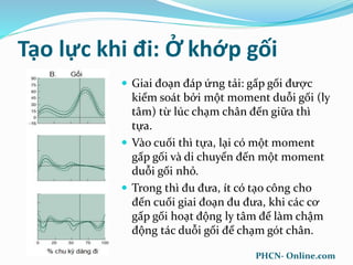 Tạo lực khi đi: Ở khớp gối
 Giai đoạn đáp ứng tải: gấp gối được
kiểm soát bởi một moment duỗi gối (ly
tâm) từ lúc chạm chân đến giữa thì
tựa.
 Vào cuối thì tựa, lại có một moment
gấp gối và di chuyển đến một moment
duỗi gối nhỏ.
 Trong thì đu đưa, ít có tạo công cho
đến cuối giai đoạn đu đưa, khi các cơ
gấp gối hoạt động ly tâm để làm chậm
động tác duỗi gối để chạm gót chân.
PHCN- Online.com
 