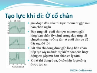 Tạo lực khi đi: Ở cổ chân
 giai đoạn đầu của thì tựa: moment gập mu
bàn chân ngắn
 Đáp ứng tải- cuối thì tựa: moment gấp
lòng bàn chân (ly tâm) trong đáp ứng tải
chuyển sang hướng tâm ở cuối thì tựa để
đẩy người tới
 Bắt đầu thì đong đưa: gấp lòng bàn chân
tiếp tục xảy ra dưới sự kiểm soát của hoạt
động cơ gấp mu bàn chân co ly tâm.
 Khi ở thì đong đưa, ở cổ chân ít có công
được tạo ra.
PHCN- Online.com
 
