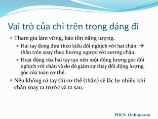 Vai trò của chi trên trong dáng đi
 Tham gia làm vững, bảo tồn năng lượng.
 Hai tay đong đưa theo kiểu đối nghịch với hai chân 
thân trên xoay theo hướng ngược với xương chậu.
 Hoạt động của hai tay tạo nên một động lượng góc đối
nghịch với chân và do đó giảm sự thay đổi động lượng
góc của toàn cơ thể.
 Nếu không có tay thì cơ thể (thân) sẽ lắc lư nhiều khi
chân xoay ra trước và ra sau.
PHCN- Online.com
 