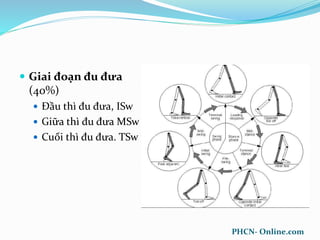  Giai đoạn đu đưa
(40%)
 Đầu thì đu đưa, ISw
 Giữa thì đu đưa MSw
 Cuối thì đu đưa. TSw
PHCN- Online.com
 