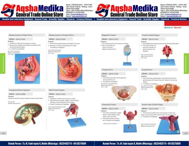 Phantom Alat Peraga Kesehatan General Doctor Product Catalog 2017-2018 – Hal.100