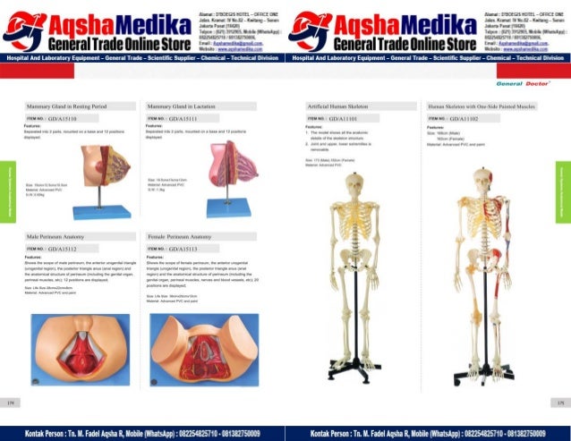Phantom Alat Peraga Kesehatan General Doctor Product Catalog 2017-2018 – Hal.101