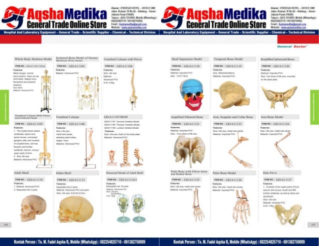 Phantom Alat Peraga Kesehatan General Doctor Product Catalog 2017-2018 – Hal.102