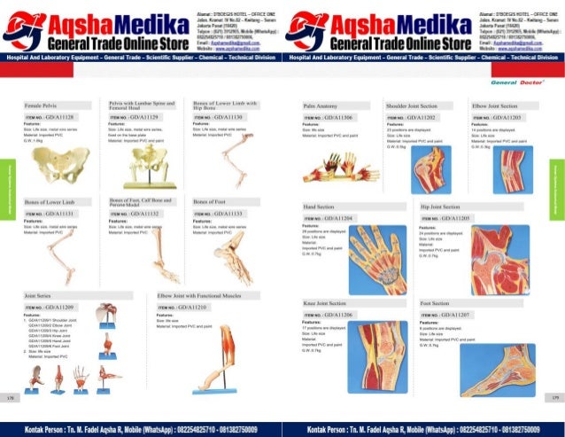 Phantom Alat Peraga Kesehatan General Doctor Product Catalog 2017-2018 – Hal.103