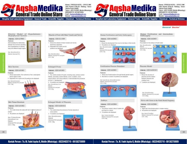 Phantom Alat Peraga Kesehatan General Doctor Product Catalog 2017-2018 – Hal.105
