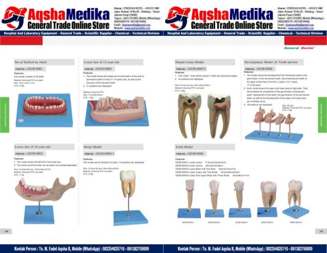 Phantom Alat Peraga Kesehatan General Doctor Product Catalog 2017-2018 – Hal.107