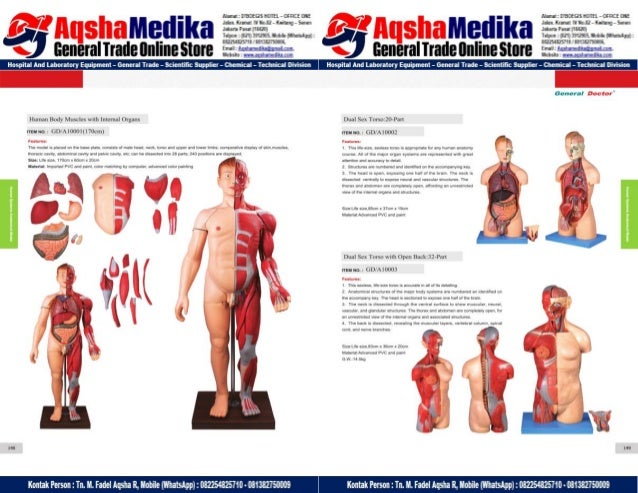 Phantom Alat Peraga Kesehatan General Doctor Product Catalog 2017-2018 – Hal.88
