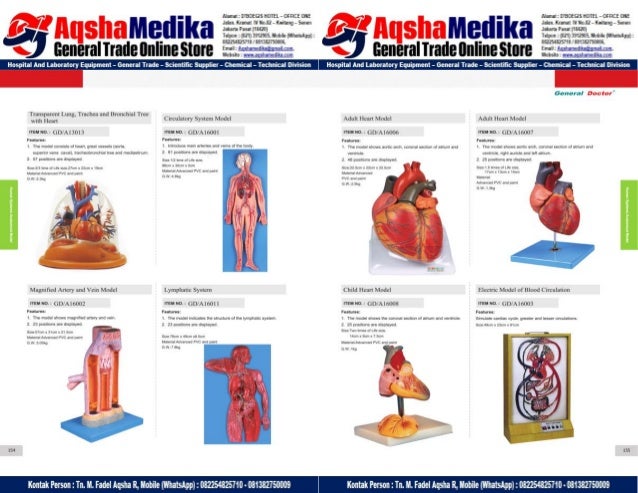 Phantom Alat Peraga Kesehatan General Doctor Product Catalog 2017-2018 – Hal.91
