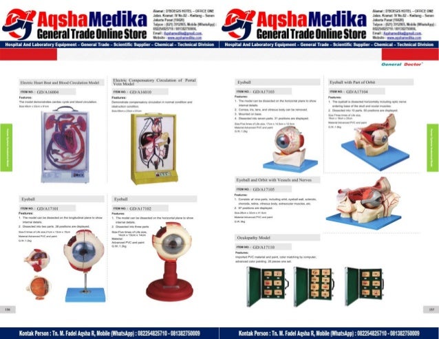Phantom Alat Peraga Kesehatan General Doctor Product Catalog 2017-2018 – Hal.92