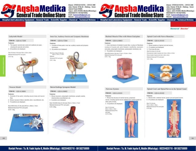 Phantom Alat Peraga Kesehatan General Doctor Product Catalog 2017-2018 – Hal.94