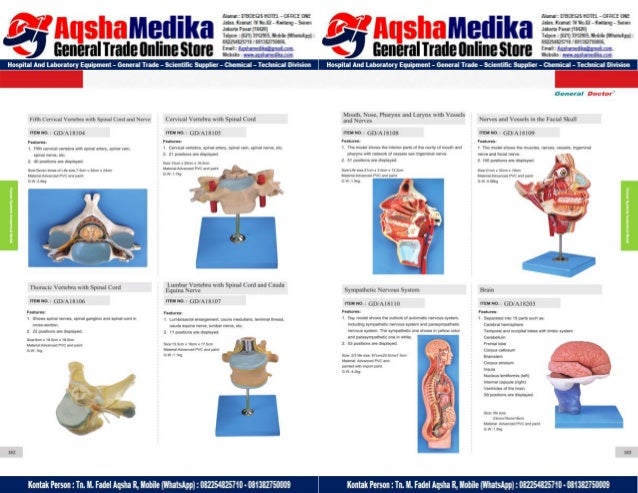 Phantom Alat Peraga Kesehatan General Doctor Product Catalog 2017-2018 – Hal.95