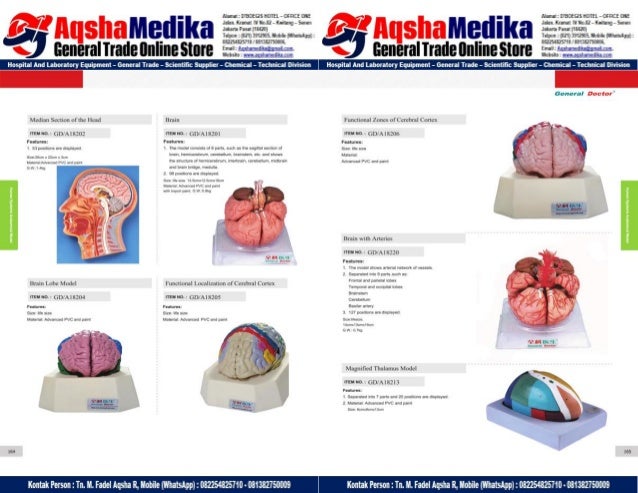 Phantom Alat Peraga Kesehatan General Doctor Product Catalog 2017-2018 – Hal.96