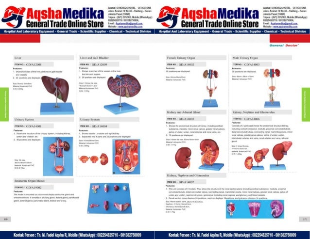 Phantom Alat Peraga Kesehatan General Doctor Product Catalog 2017-2018 – Hal.99