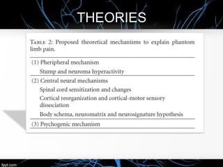 THEORIES
 