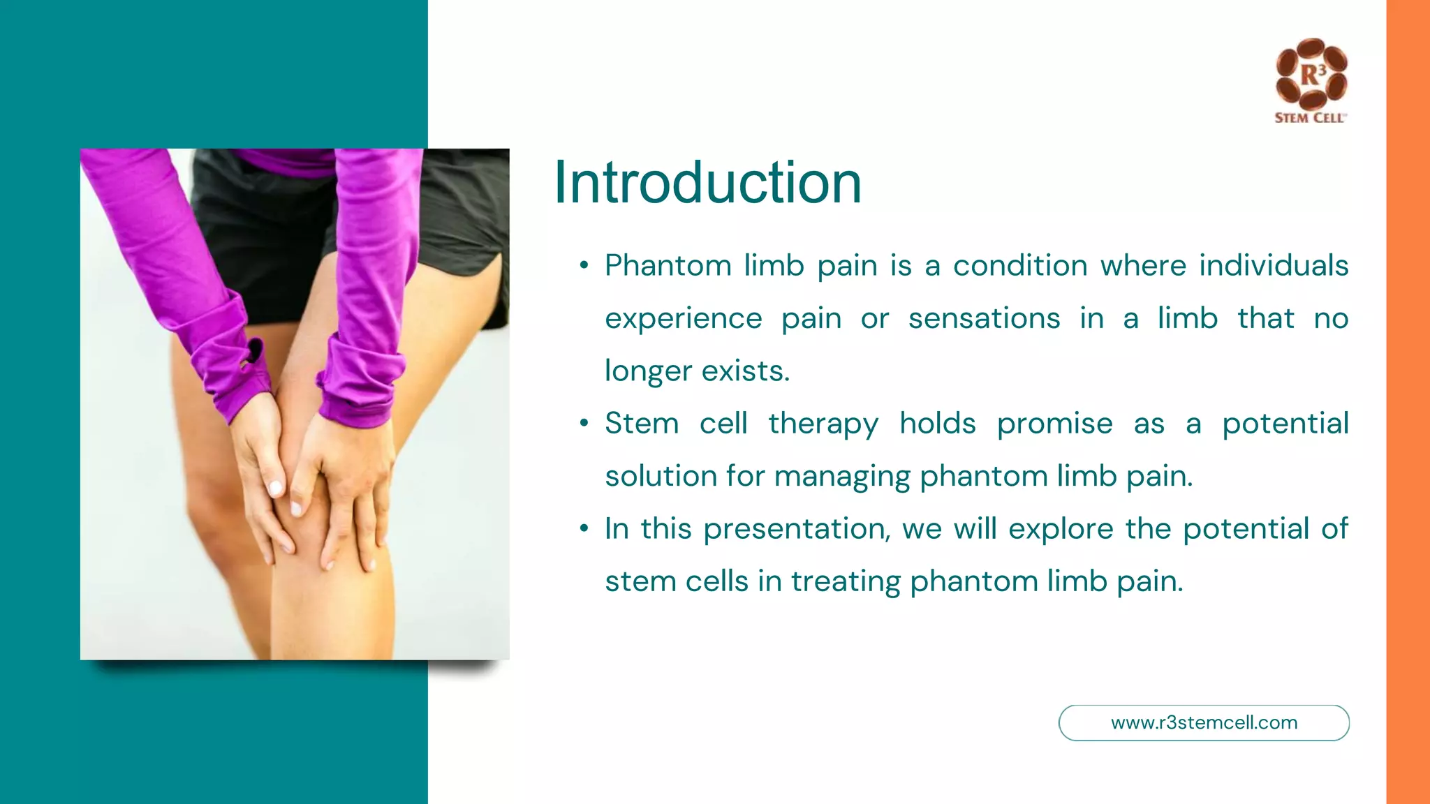 Mapping the Mind: Understanding Phantoms in the Brain