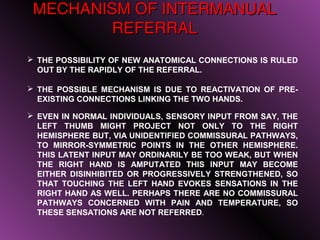 MECHANISM OF INTERMANUAL
        REFERRAL
 THE POSSIBILITY OF NEW ANATOMICAL CONNECTIONS IS RULED
  OUT BY THE RAPIDLY OF THE REFERRAL.

 THE POSSIBLE MECHANISM IS DUE TO REACTIVATION OF PRE-
  EXISTING CONNECTIONS LINKING THE TWO HANDS.

 EVEN IN NORMAL INDIVIDUALS, SENSORY INPUT FROM SAY, THE
  LEFT THUMB MIGHT PROJECT NOT ONLY TO THE RIGHT
  HEMISPHERE BUT, VIA UNIDENTIFIED COMMISSURAL PATHWAYS,
  TO MIRROR-SYMMETRIC POINTS IN THE OTHER HEMISPHERE.
  THIS LATENT INPUT MAY ORDINARILY BE TOO WEAK, BUT WHEN
  THE RIGHT HAND IS AMPUTATED THIS INPUT MAY BECOME
  EITHER DISINHIBITED OR PROGRESSIVELY STRENGTHENED, SO
  THAT TOUCHING THE LEFT HAND EVOKES SENSATIONS IN THE
  RIGHT HAND AS WELL. PERHAPS THERE ARE NO COMMISSURAL
  PATHWAYS CONCERNED WITH PAIN AND TEMPERATURE, SO
  THESE SENSATIONS ARE NOT REFERRED.

                                                17
 